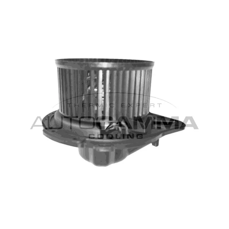 Pulseur d'air habitacle AUTOGAMMA GA31302