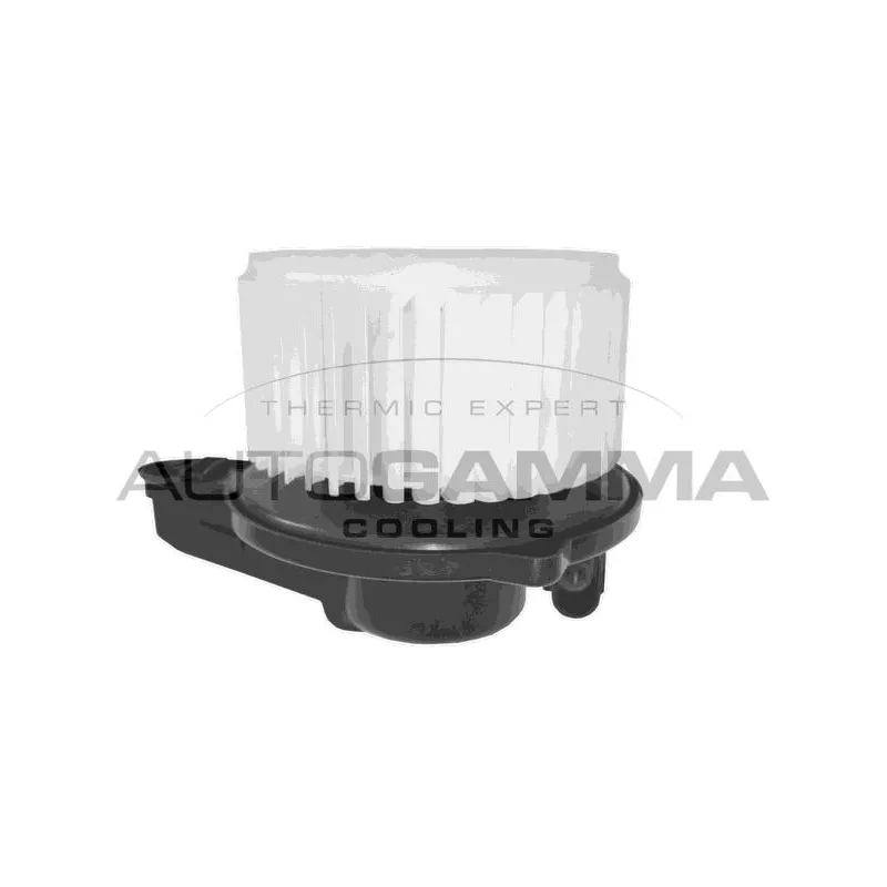 Pulseur d'air habitacle AUTOGAMMA GA31303