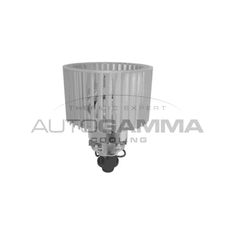 Pulseur d'air habitacle AUTOGAMMA GA31305
