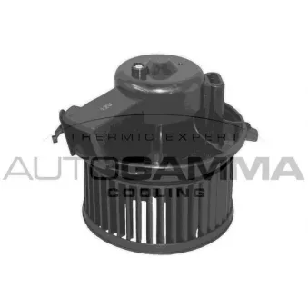 Pulseur d'air habitacle AUTOGAMMA GA32007