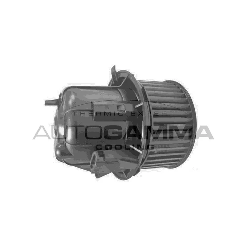 Pulseur d'air habitacle AUTOGAMMA GA32010