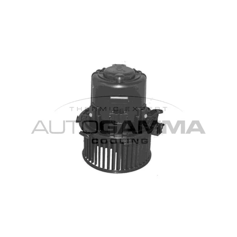 Pulseur d'air habitacle AUTOGAMMA GA32013