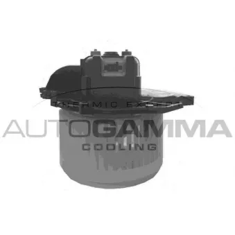 Pulseur d'air habitacle AUTOGAMMA GA32020