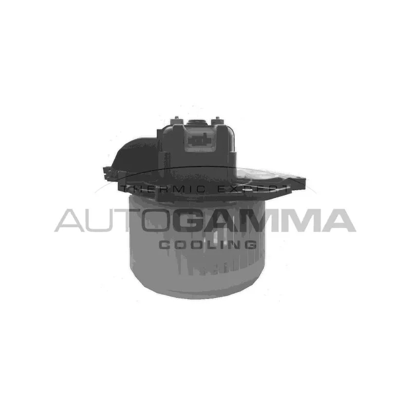 Pulseur d'air habitacle AUTOGAMMA GA32020
