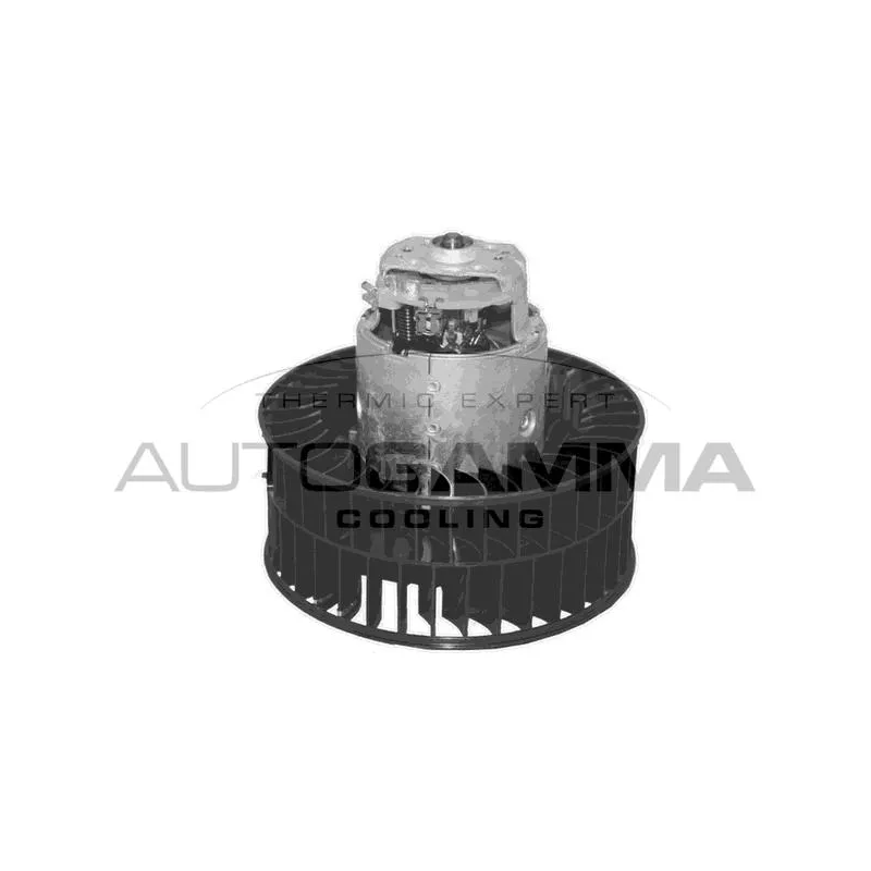 Pulseur d'air habitacle AUTOGAMMA GA33012