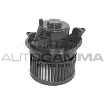 Pulseur d'air habitacle AUTOGAMMA GA34005