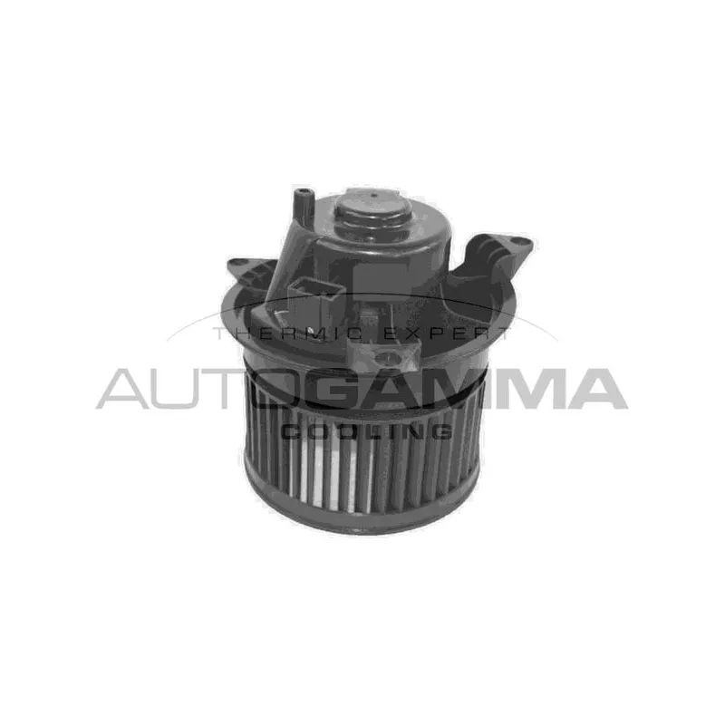 Pulseur d'air habitacle AUTOGAMMA GA34005