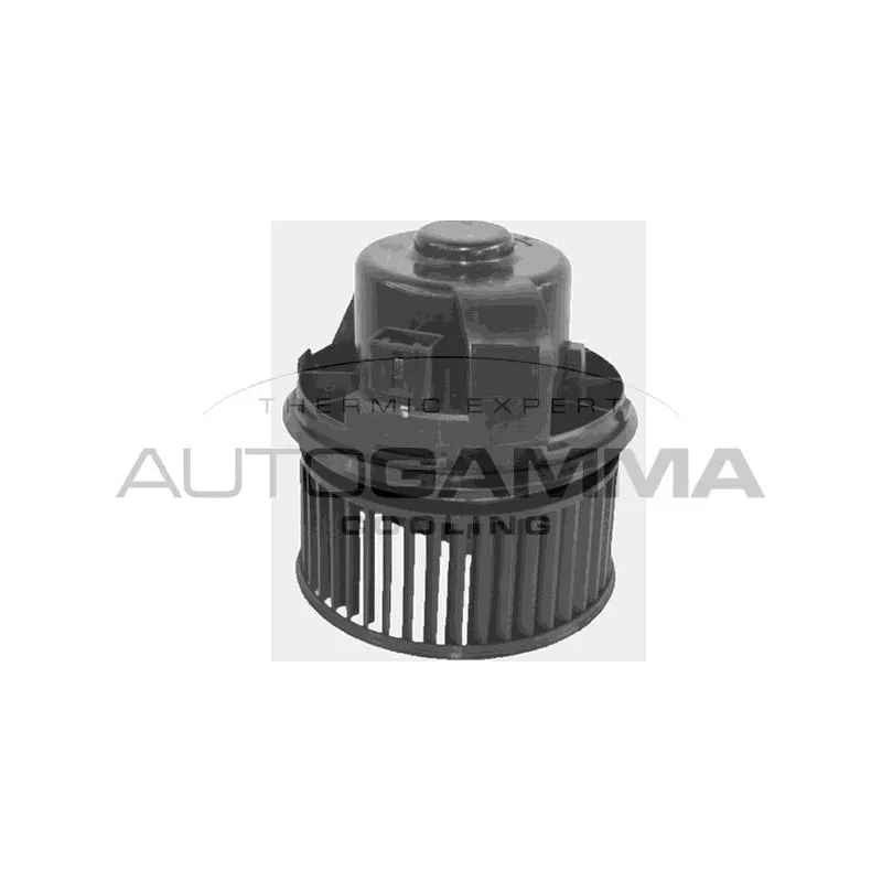 Pulseur d'air habitacle AUTOGAMMA GA34007