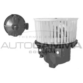 Pulseur d'air habitacle AUTOGAMMA GA34506