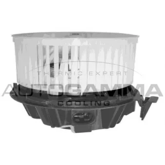 Pulseur d'air habitacle AUTOGAMMA GA35002