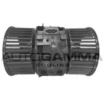 Pulseur d'air habitacle AUTOGAMMA GA35013