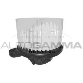 Pulseur d'air habitacle AUTOGAMMA GA38005