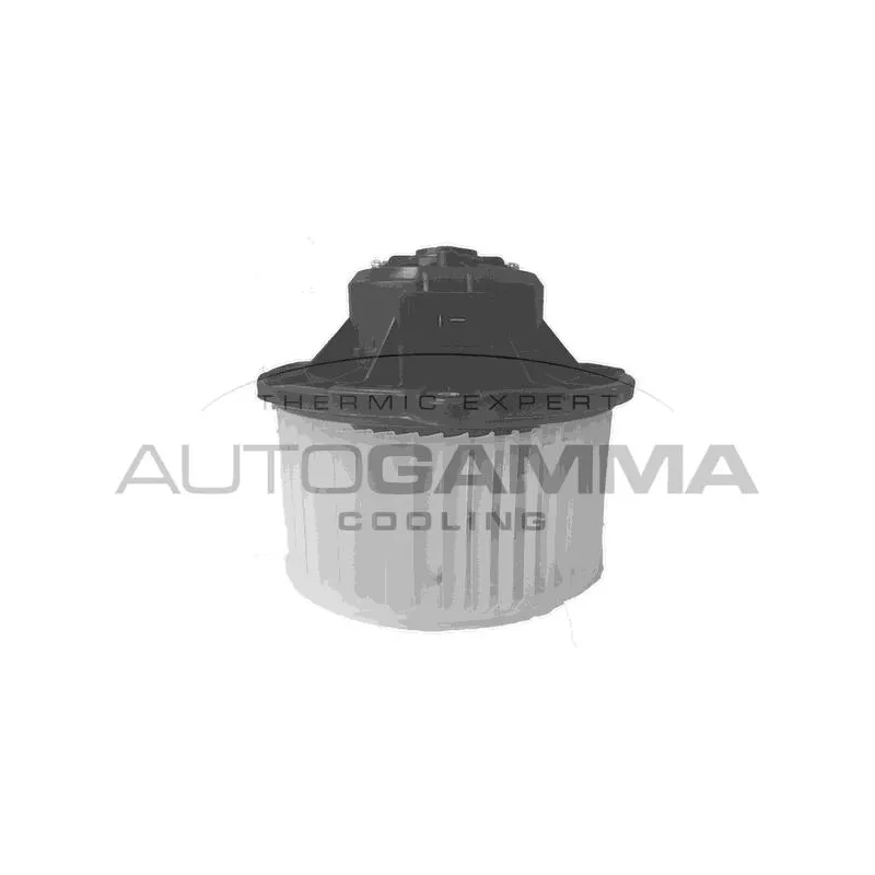 Pulseur d'air habitacle AUTOGAMMA GA38009