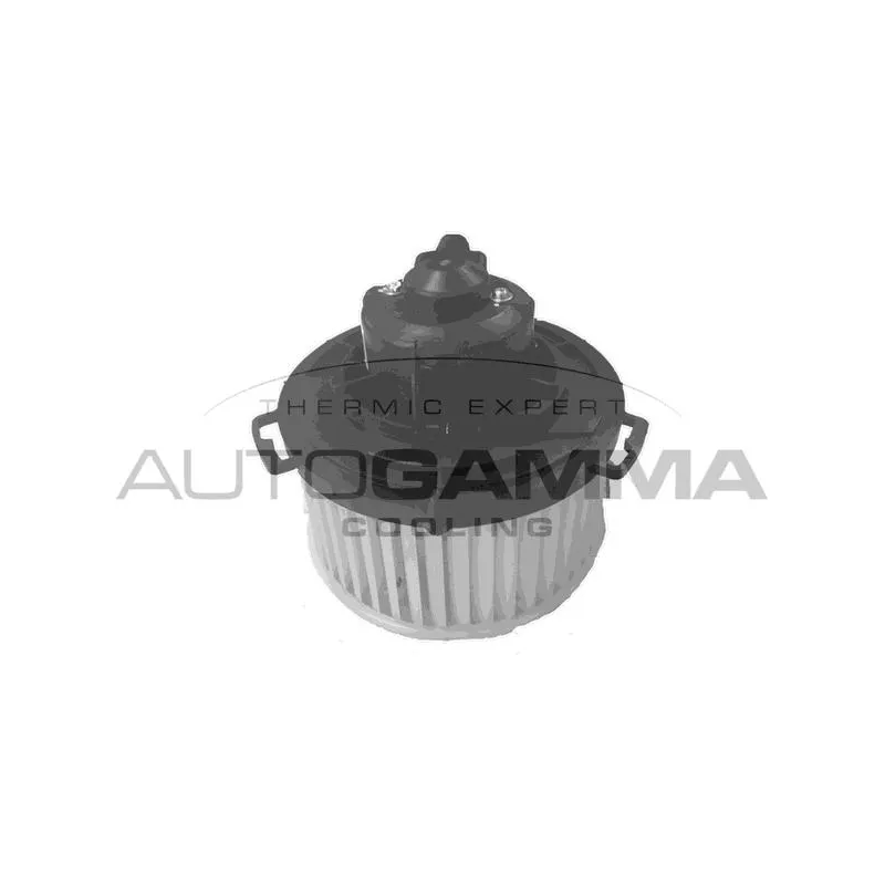 Pulseur d'air habitacle AUTOGAMMA GA38300