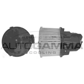 Pulseur d'air habitacle AUTOGAMMA GA38801