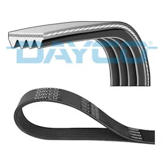Courroie trapézoïdale à nervures DAYCO 4PK775