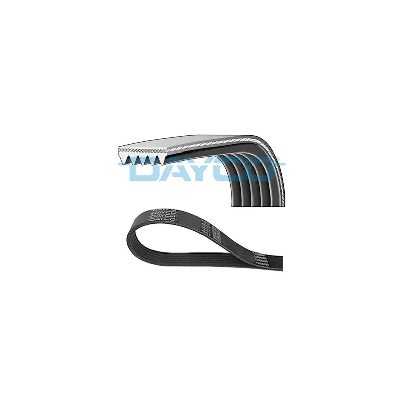 Courroie trapézoïdale à nervures DAYCO 5PK869