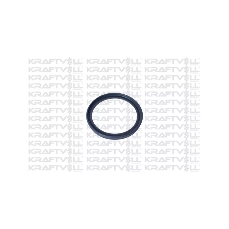 Bague d'étanchéité, gaine de suralimentation KRAFTVOLL GERMANY 10032718