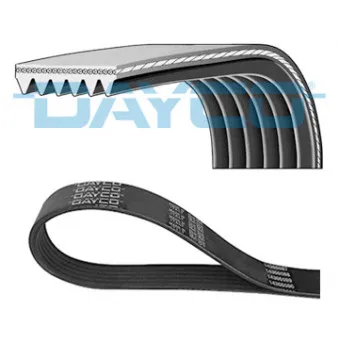 Courroie trapézoïdale à nervures DAYCO 6PK862