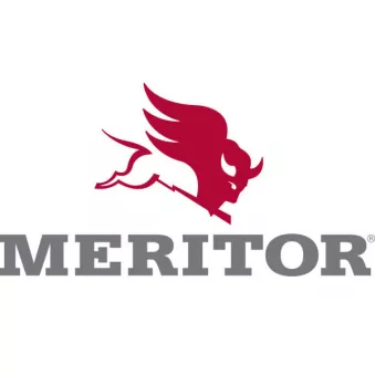 Joint, couvercle de carter de différentiel MERITOR 3107H1048