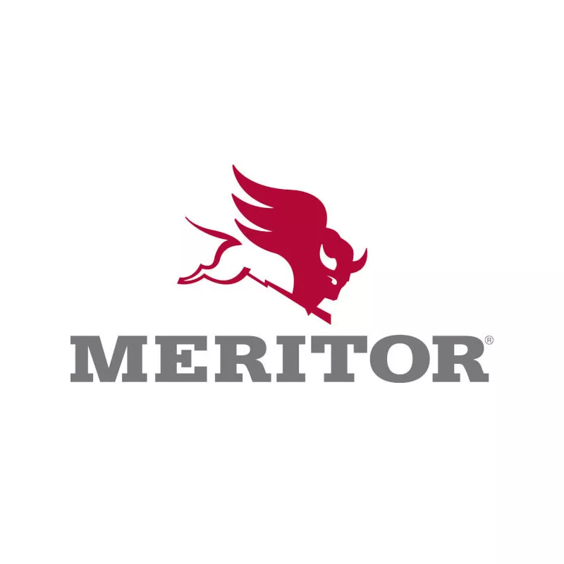 Jeu de 2 disques de frein avant MERITOR MBR6009