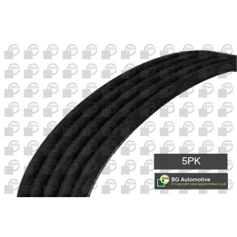 Courroie trapézoïdale à nervures BGA 5PK1110