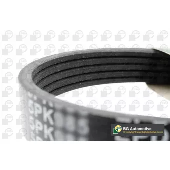 Courroie trapézoïdale à nervures BGA 5PK985