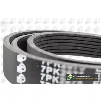 Courroie trapézoïdale à nervures BGA 7PK2875
