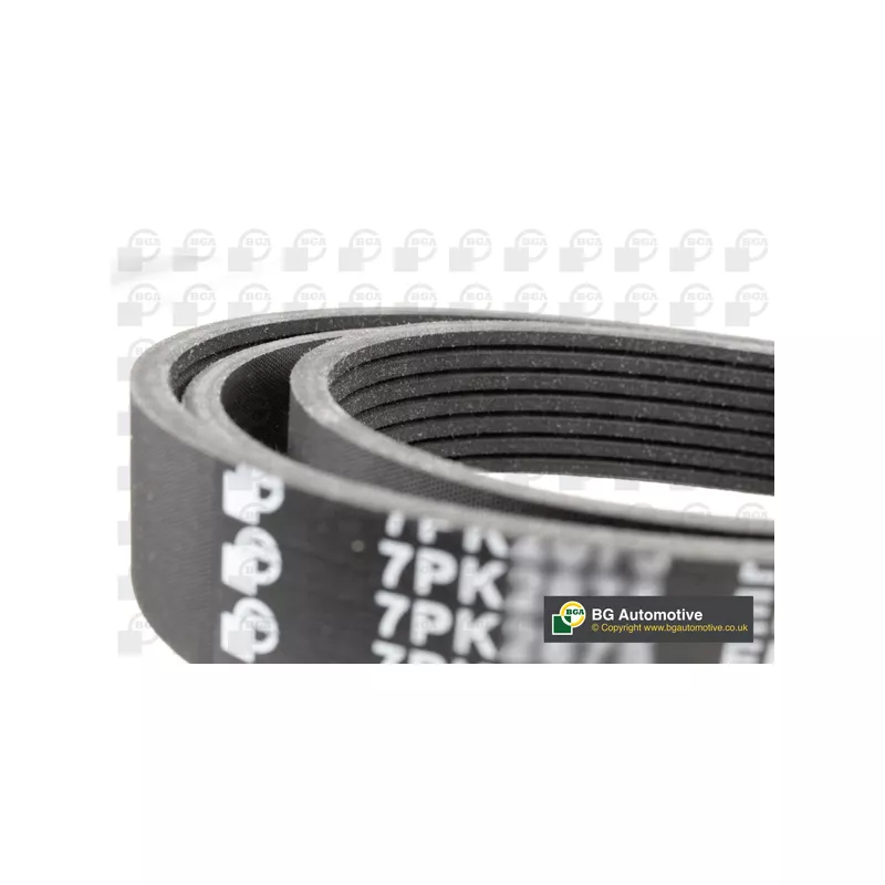 Courroie trapézoïdale à nervures BGA 7PK2875