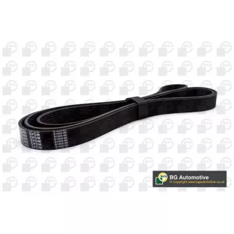Courroie trapézoïdale à nervures BGA 8PK2485