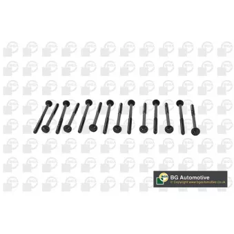 Jeu de boulons de culasse de cylindre BGA BK2305
