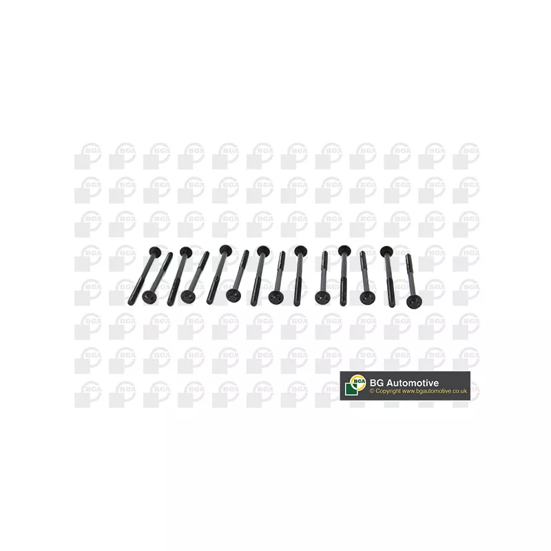 Jeu de boulons de culasse de cylindre BGA BK2305
