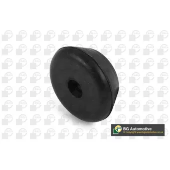 Silent bloc de suspension (train avant) BGA BU9169