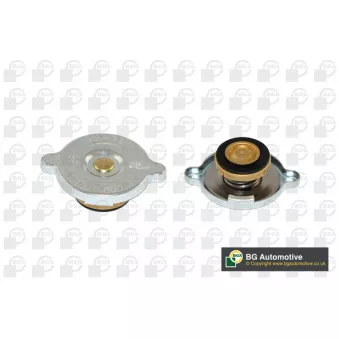 Bouchon, réservoir de liquide de refroidissement BGA CC3050