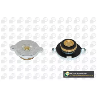 Bouchon, réservoir de liquide de refroidissement BGA CC3051