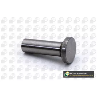 Poussoir de soupape BGA
