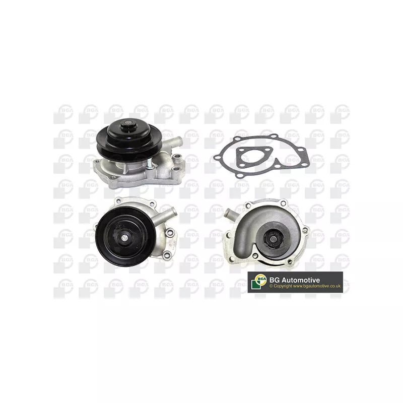 Pompe à eau, refroidissement du moteur BGA CP1100T