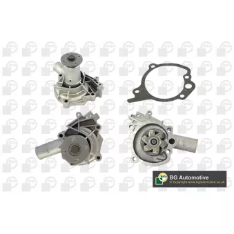 Pompe à eau, refroidissement du moteur BGA CP14210