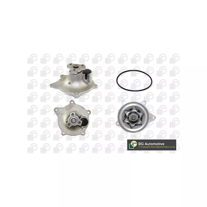 Pompe à eau, refroidissement du moteur BGA CP14252