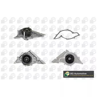 Pompe à eau, refroidissement du moteur BGA CP18820