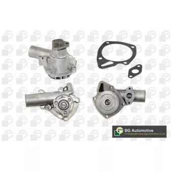 Pompe à eau, refroidissement du moteur BGA CP2194L