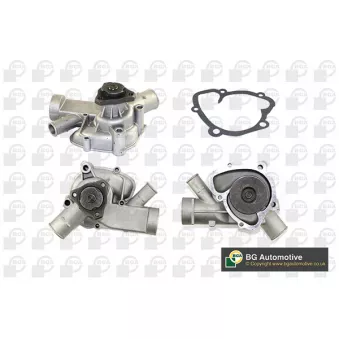 Pompe à eau, refroidissement du moteur BGA CP2274