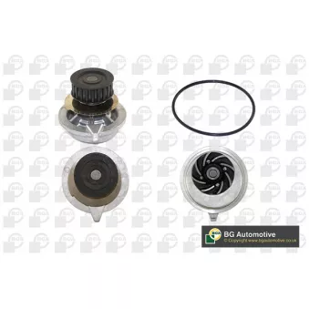 Pompe à eau, refroidissement du moteur BGA CP2334