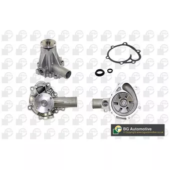 Pompe à eau, refroidissement du moteur BGA CP2360