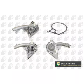 Pompe à eau, refroidissement du moteur BGA CP2466
