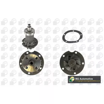Pompe à eau, refroidissement du moteur BGA CP2474