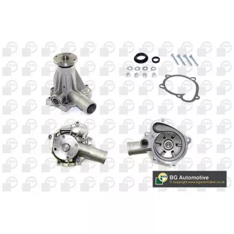 Pompe à eau, refroidissement du moteur BGA CP2494
