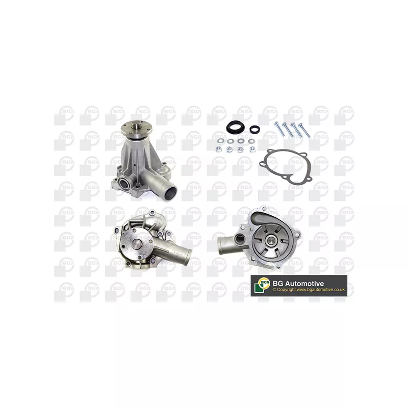 Pompe à eau, refroidissement du moteur BGA CP2494