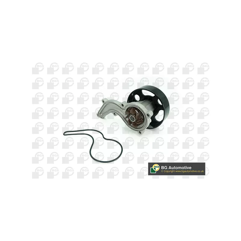 Pompe à eau, refroidissement du moteur BGA CP2506