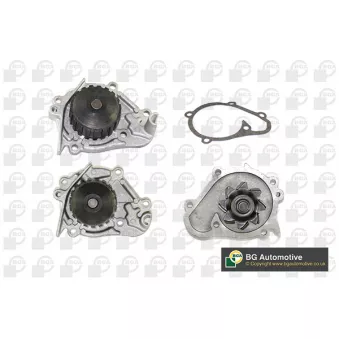 Pompe à eau, refroidissement du moteur BGA CP2806
